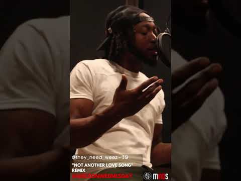 TheyNeedWeez - Not Another Love Song