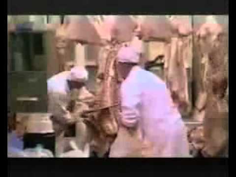 Planeta Animal ( Verdad incómoda)