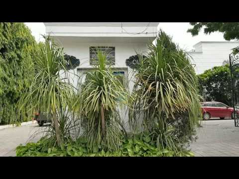 Country Inn & Suites by Radisson, Delhi NCR | Room & Facilities Video Review | Satbari | Price