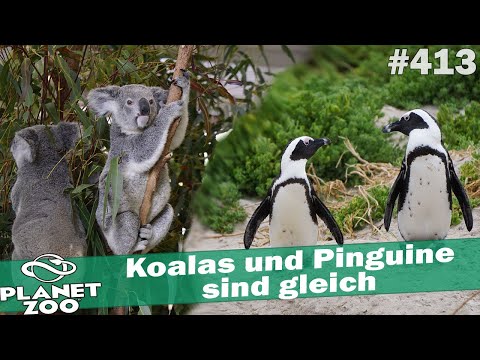 Koalas und Pinguine sind gleich 🐘 PLANET ZOO [Deutsch] #413