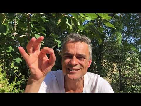 Italienisch lernen Urlaub Video 02 Teil 4 - Italienisch Restaurant bestellen 04-Italienisch Anfänger