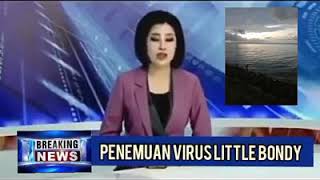 Download lagu BERITA PALING LUCU DI JAMIN NGAKAK // ARTI BAHASA JAWA // 😂😂😂 mp3