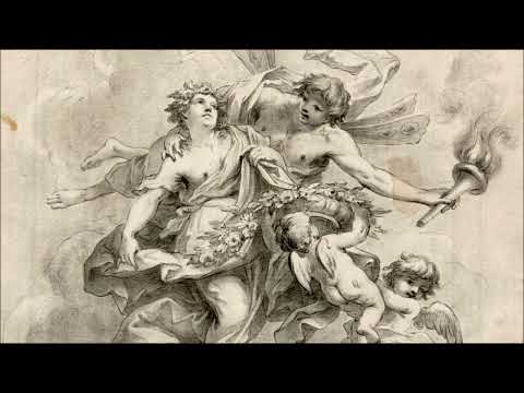 Carl Friedrich Weidemann: Concerto in E minor for Flute, Strings & B.c Op.2 No.6