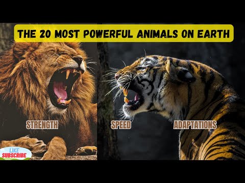 The 20 Most Powerful Animals on Earth: Strength, Speed, and Adaptations