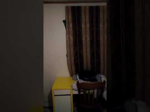 サマータイム開始 2020年3月8日（日）春1時間前倒し午前2時 (Daylight saving time begins Sunday March 8th 2020 spring forward 1 hour 2 AM)