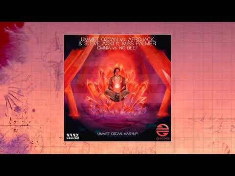 Ummet Ozcan vs. Afrojack & Steve Aoki ft. Miss Palmer - Omnia vs. No Beef (Ummet Ozcan Mashup)
