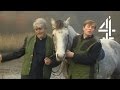 My Lovely Horse by The Divine Comedy