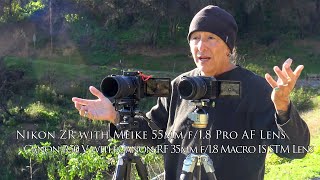 Comparing Auto Focus on The Nikon ZR and Canon R50 V and some of the fire devastation along PCH