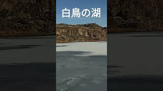 Download lagu 白鳥の湖 美しい凍りついた湖上に 白鳥は何処よ・・・ #白鳥の湖 #クラシック #バレエ #氷 #湖 #自然 #大自然 mp3 Download lagu 白鳥の湖 美しい凍りついた湖上に 白鳥は何処よ・・・ #白鳥の湖 #クラシック #バレエ #氷 #湖 #自然 #大自然 mp3