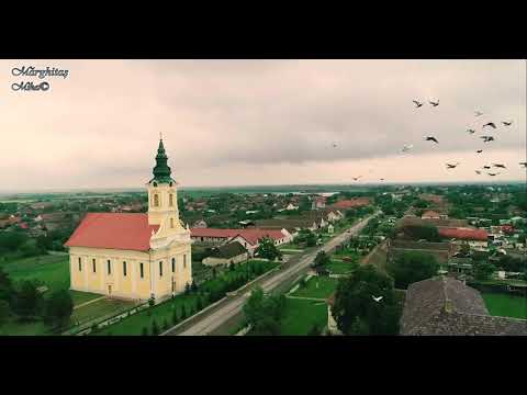 Liebling 2020 - judet Timis