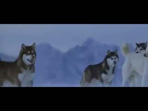 Eight Below-Trailer