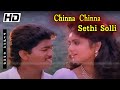 சின்ன சின்ன சேதி சொல்லி(Chinna Chinna Sethi Solli) |Mano & Swarnalatha | Vijay S