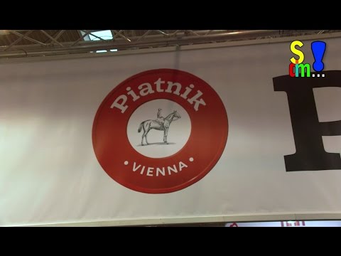 Spiel doch mal...! Spiel 2016 - Piatnik - Bert Nilgen