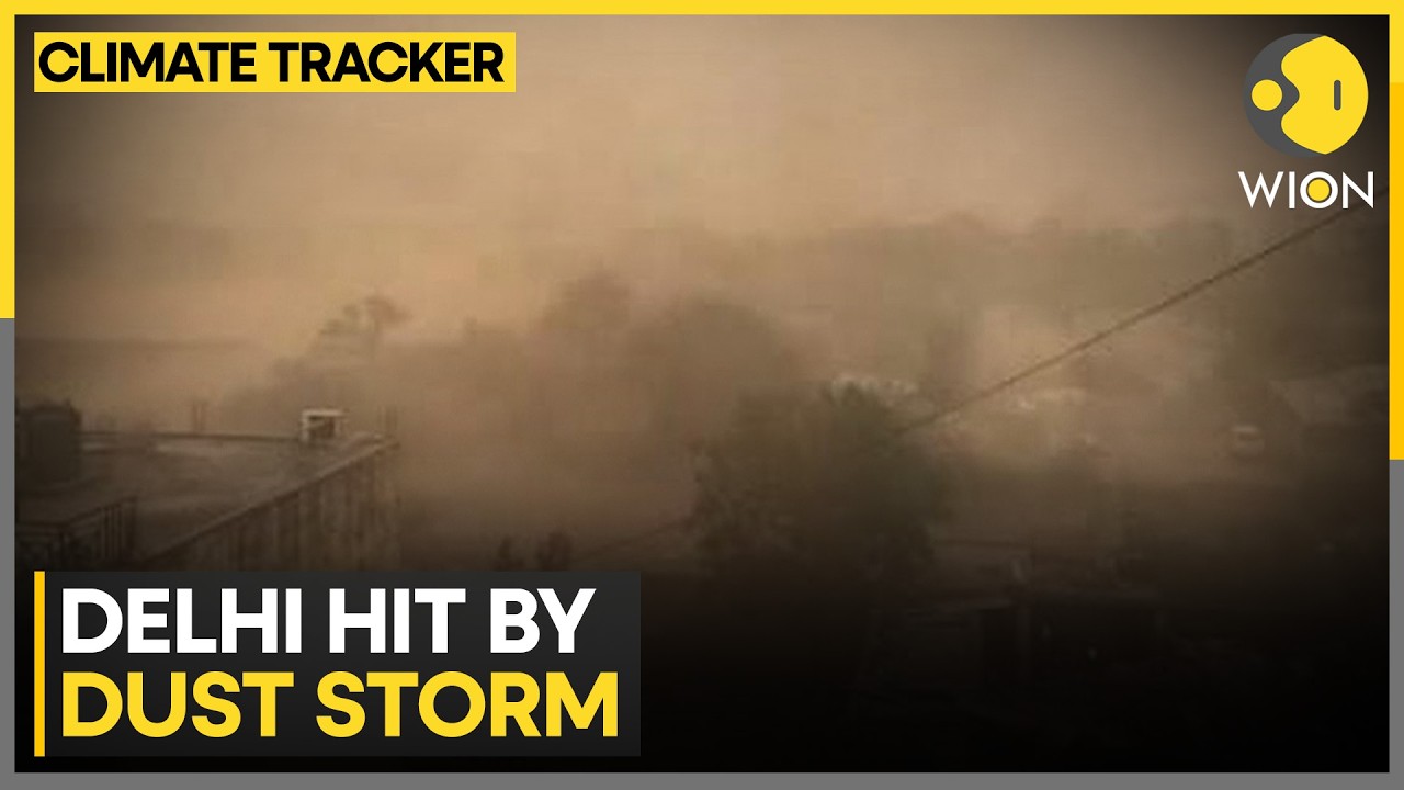 India: Strong Winds Sweep Delhi, Rain Ahead; IMD Issues Storm Alert | WION Climate Tracker