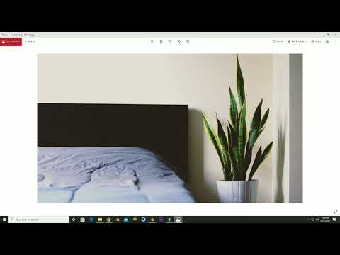 how to create Sansevieria Trifasciata  plant blender 2.8 [household plants]