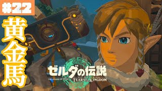 ゼルダの金色の馬が失踪…？北のマップを完全開放！#22【ゼルダの伝説 ティアーズ オブ ザ キングダム】