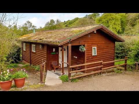 Bright and Comfortable Swedish Lodge in the Heart of England