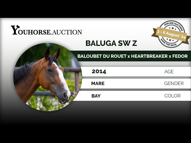 Baluga SW Z