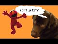 Ben Is Watching Elmo Of Sesame Street