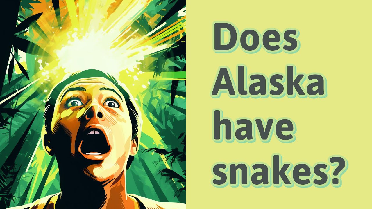 What is Alaska’s state reptile? Life Set Go