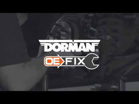 Introducing Dorman