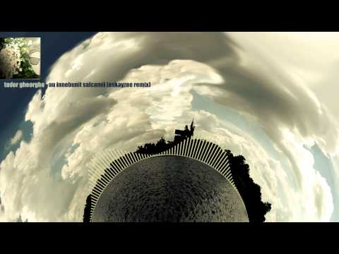 Tudor Gheorghe - Au Innebunit Salcamii (EsKayZee Remix)