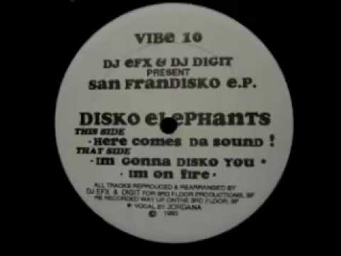 DJ EFX & DJ Digit Presents Disko Elephants - I'm On Fire