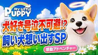 【マイリトルパピー】犬好き号泣不可避？！わんこ感動アドベンチャーで飼い犬想い出しSP！！！【switch版】