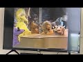 Sesame Street Sing Hoot And Howl Sence 6