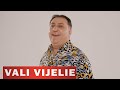 VALI VIJELIE Si LIVIU PUSTIU Lasa L Sa Plece VIDEO 2020