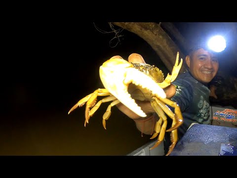 PESCA Y COCINA, UNA CAPTURA INESPERADA