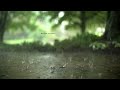 RIMJHIM GIRE SAWAN WhatsApp Status Rainyday