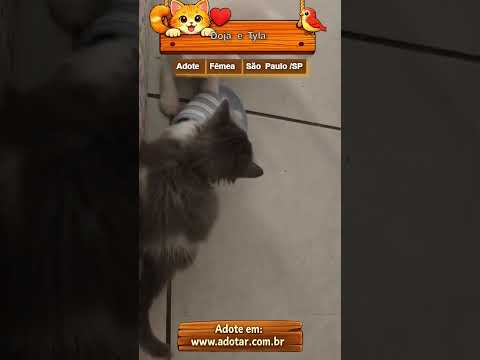 Vídeo de Doja e Tyla 