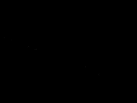 flower power pacha ibiza