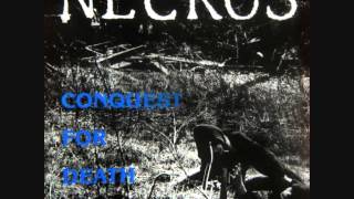 Music video thumbnail preview for Necros-Crying Form by Necros