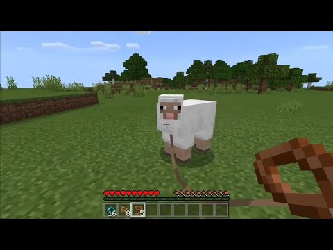 Minecraft meme + Mutahar laugh #4