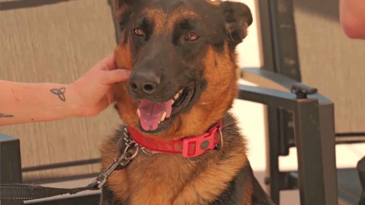 Phoenix + Xander 041826