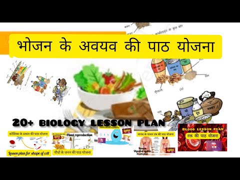 Ingredients of food lesson plan ! भोजन के अवयव की पाठ योजना ! bhojan ke avayav ka lesson plan Video