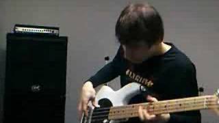 RHCP - Mellowship Slinky In B Major [Bass Cover]