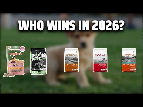The Top 5 Best Diamond Naturals Puppy in 2026 - Must Watch Before Buying!