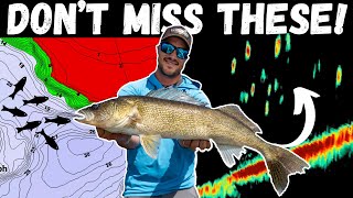 SUSPENDED Post-Spawn Walleyes - Early Summer Locations & Presentations
