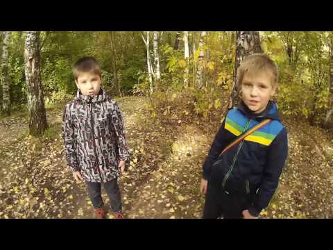 Школьный проект "Добрые дела". Наш вариант :)