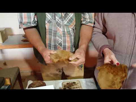 Palari din ciuperci Corund.