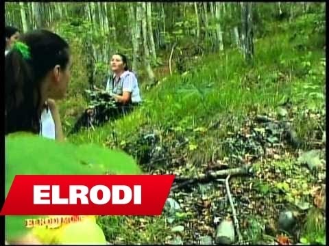 Dava Gjergji - Po sme prite