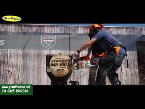 Miniatura Video