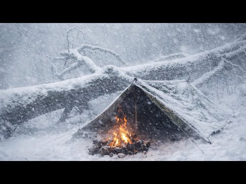 2 Days SOLO Survival | Extreme Winter Bushcraft in a Wild Snowy Forest no tent or sleeping bag