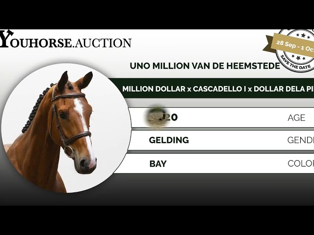 Uno Million van de Heemstede homevideo