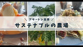 アサートン高原で発見！未来をつくるサステイナブル農業の秘密