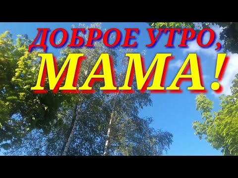 С Добрым Утром, МАМОЧКА! Скажите самые нежные слова МАМЕ...