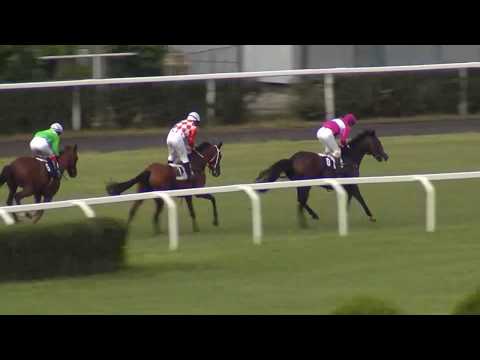 5. dostih - SIMSONOVA CENA - dostihy Velká Chuchle 12. 7. 2019